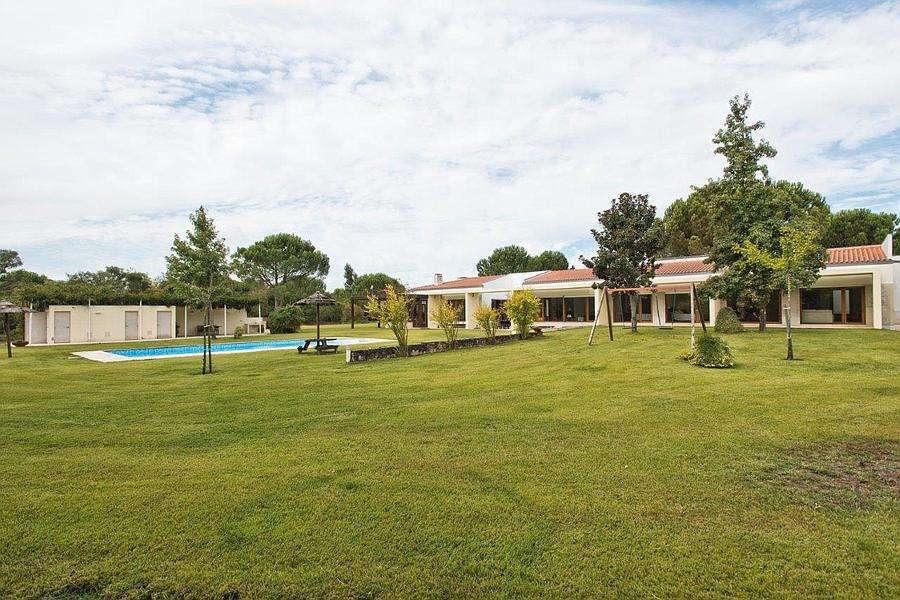 PF23953, Quinta T5, Benavente