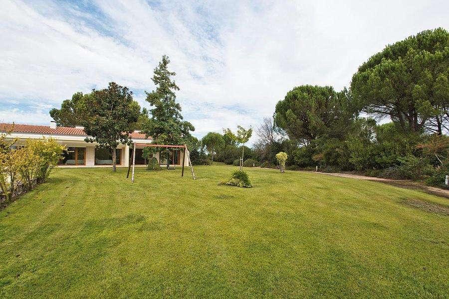 PF23953, Quinta T5, Benavente