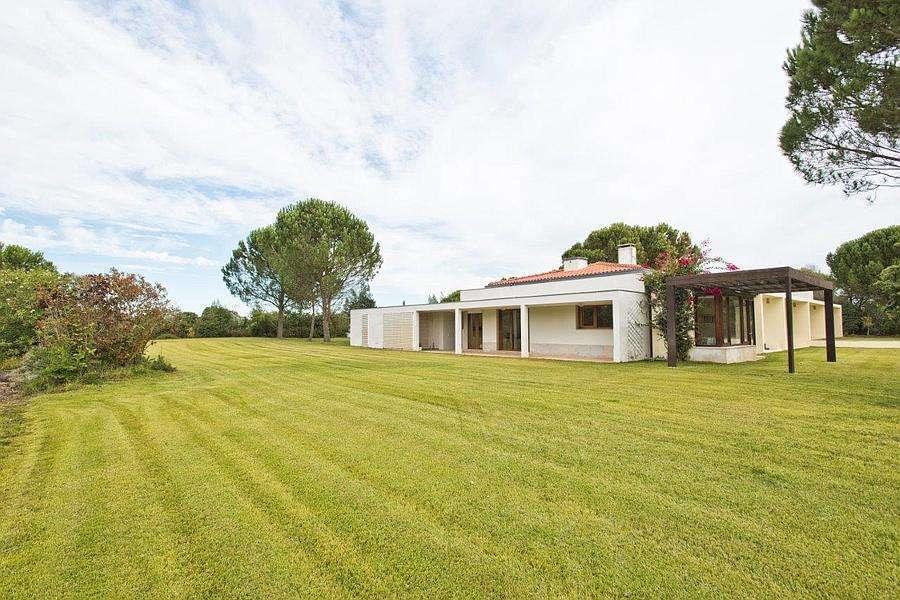 PF23953, Quinta T5, Benavente