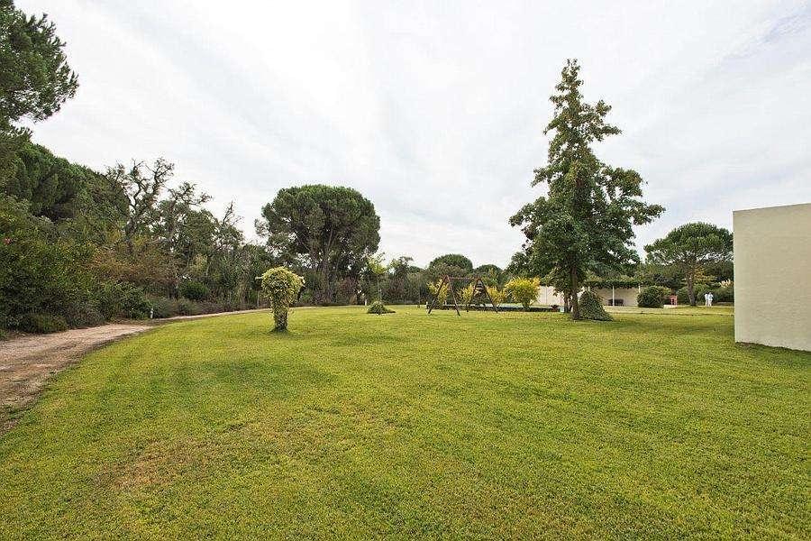 PF23953, Quinta T5, Benavente