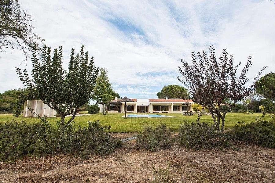 PF23953, Quinta T5, Benavente