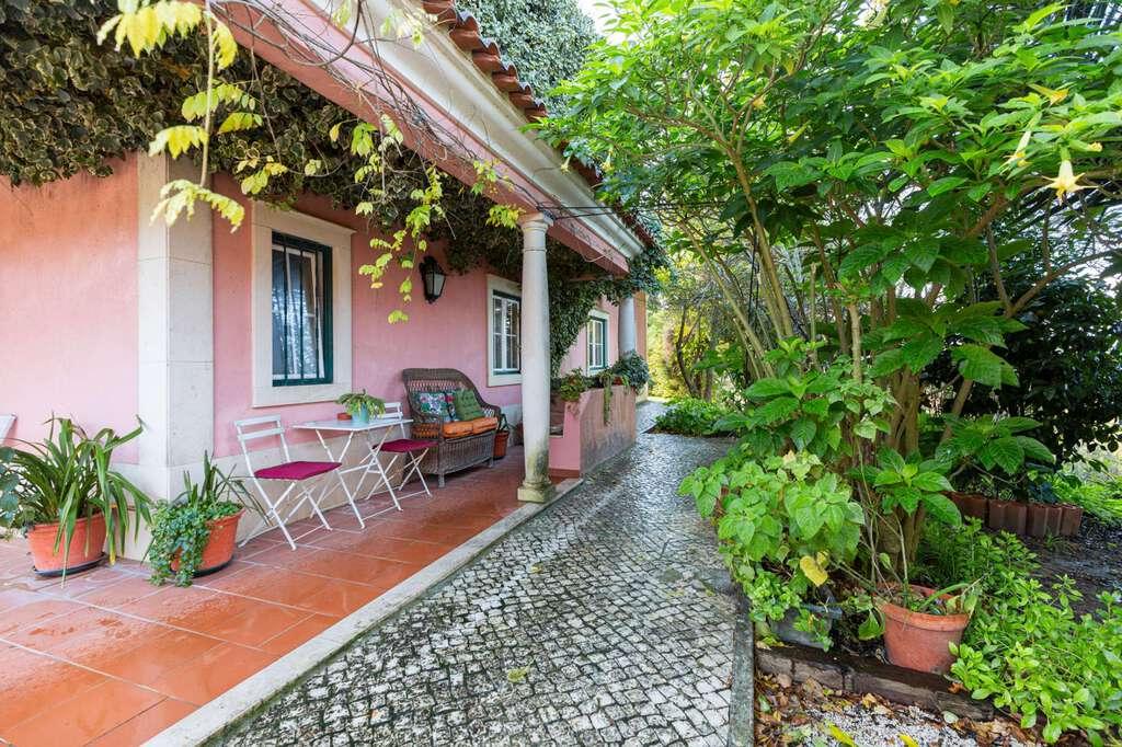 PF24281, Quinta T5, Santarem