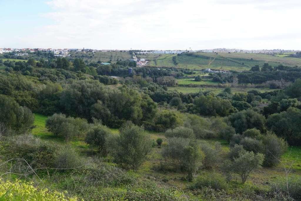 PF24282, Moradia T3, Cascais