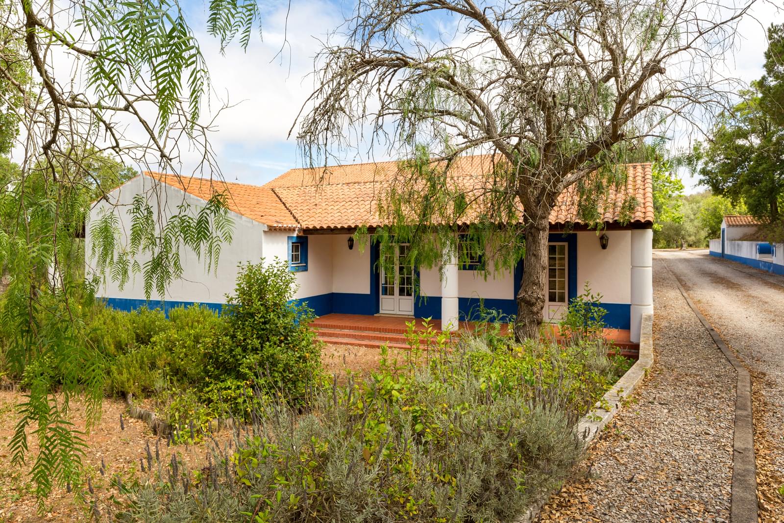 15 Bedroom Farm/Ranch/Plantation's Image 44