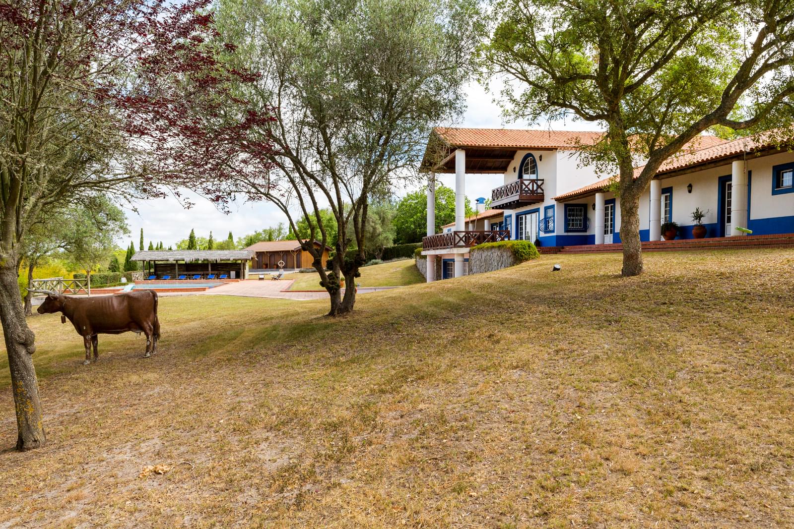 Property Slider Image