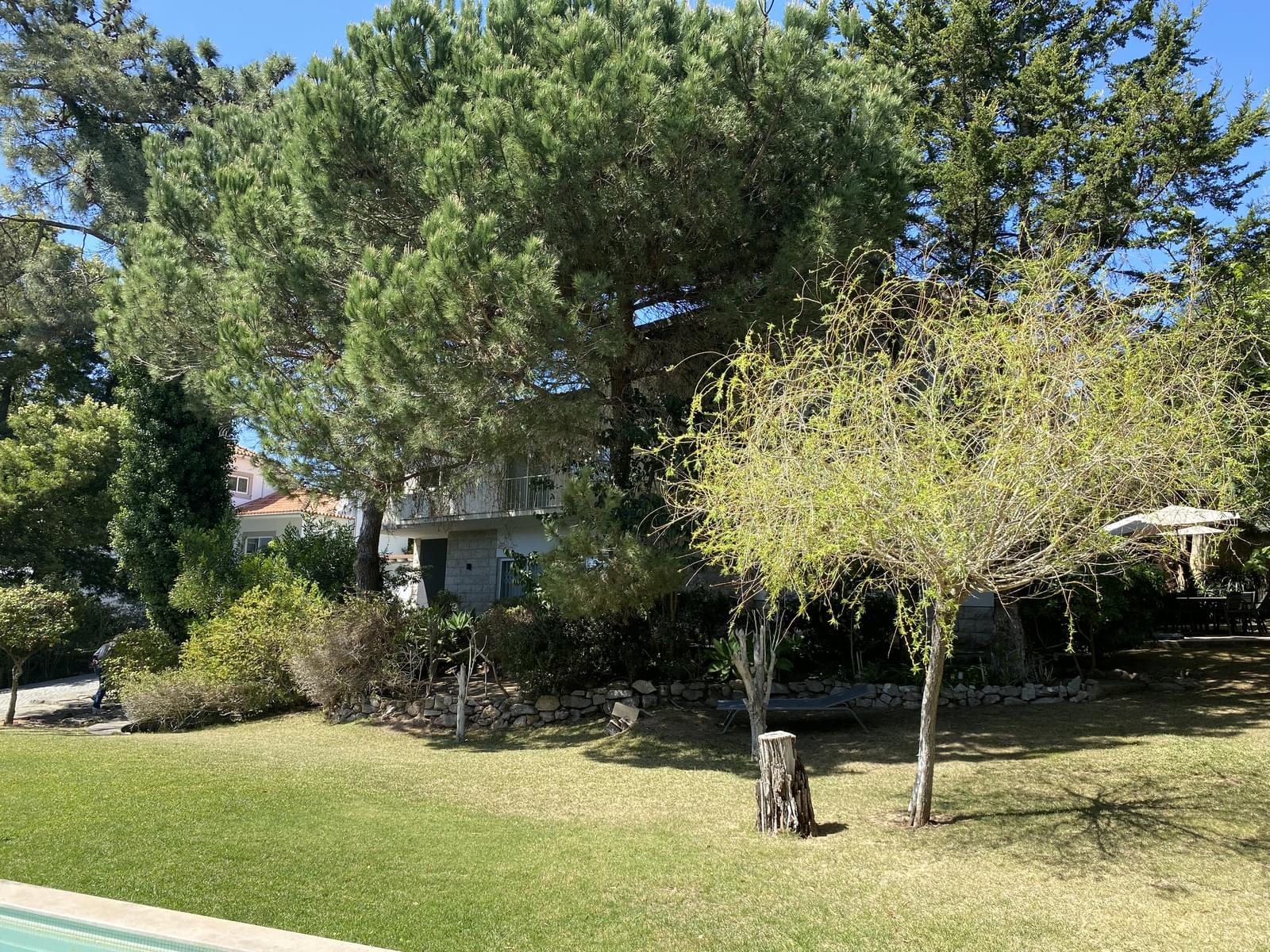 Moradia T5 com piscina, Estoril, Cascais - Imagem 58