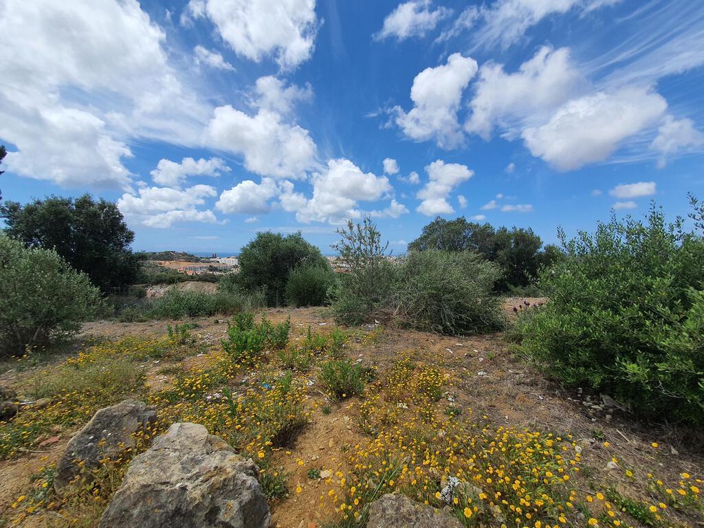 Land 1.3 ha, Alcabideche, Cascais 3489962197
