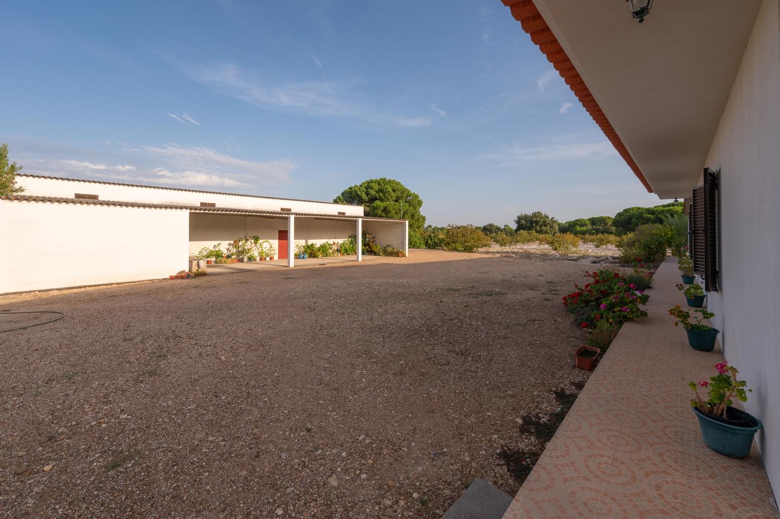 3 Bedroom Villa/Townhouse's Image 23