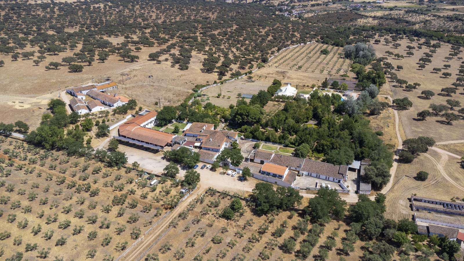29 Bedroom Farm/Ranch/Plantation's Image 38
