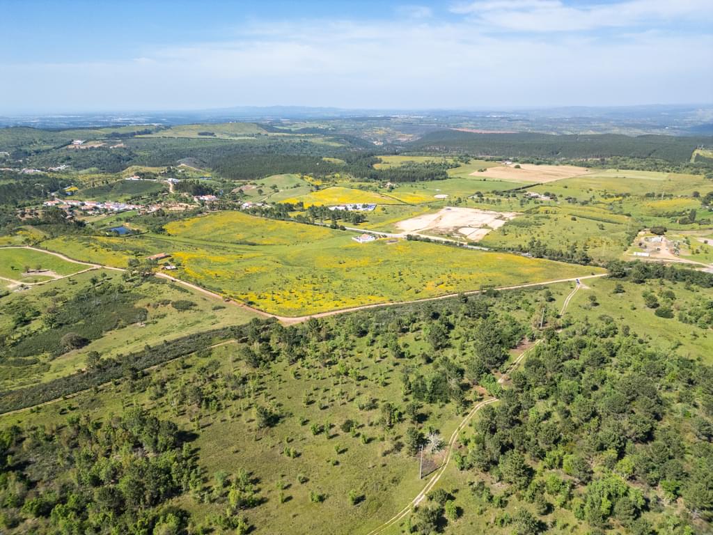 Mixed land 25.6 ha, São Teotónio, Odemira 2418004715
