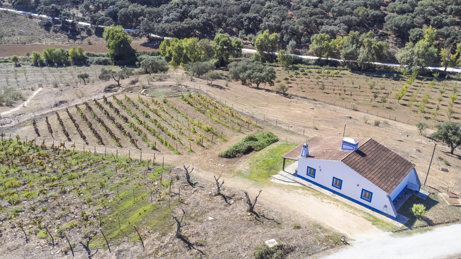 22 Bedroom Farm/Ranch/Plantation's Image 79
