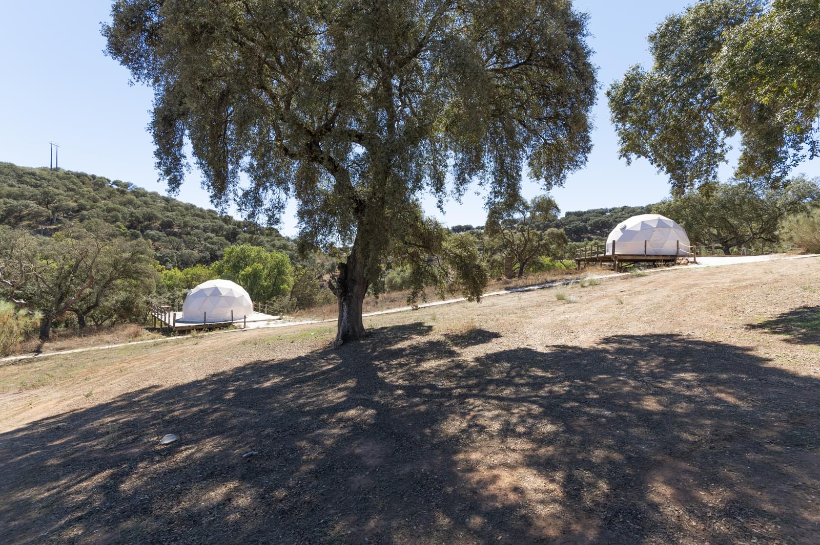22 Bedroom Farm/Ranch/Plantation's Image 97