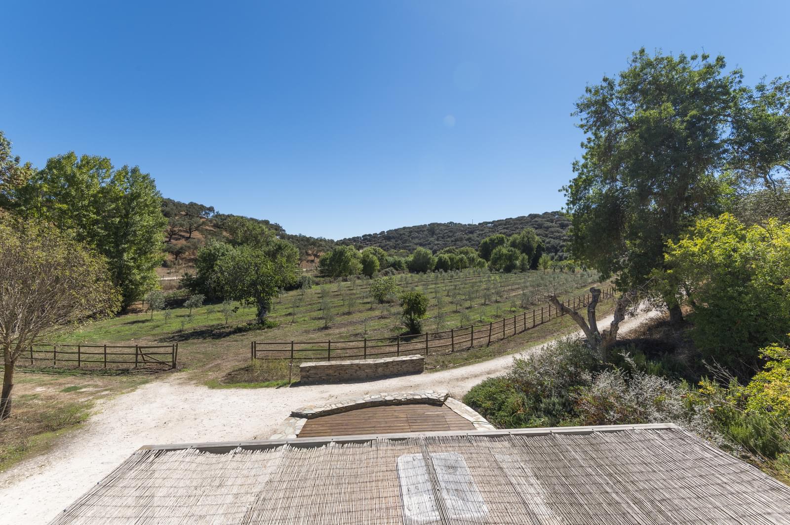 22 Bedroom Farm/Ranch/Plantation's Image 78
