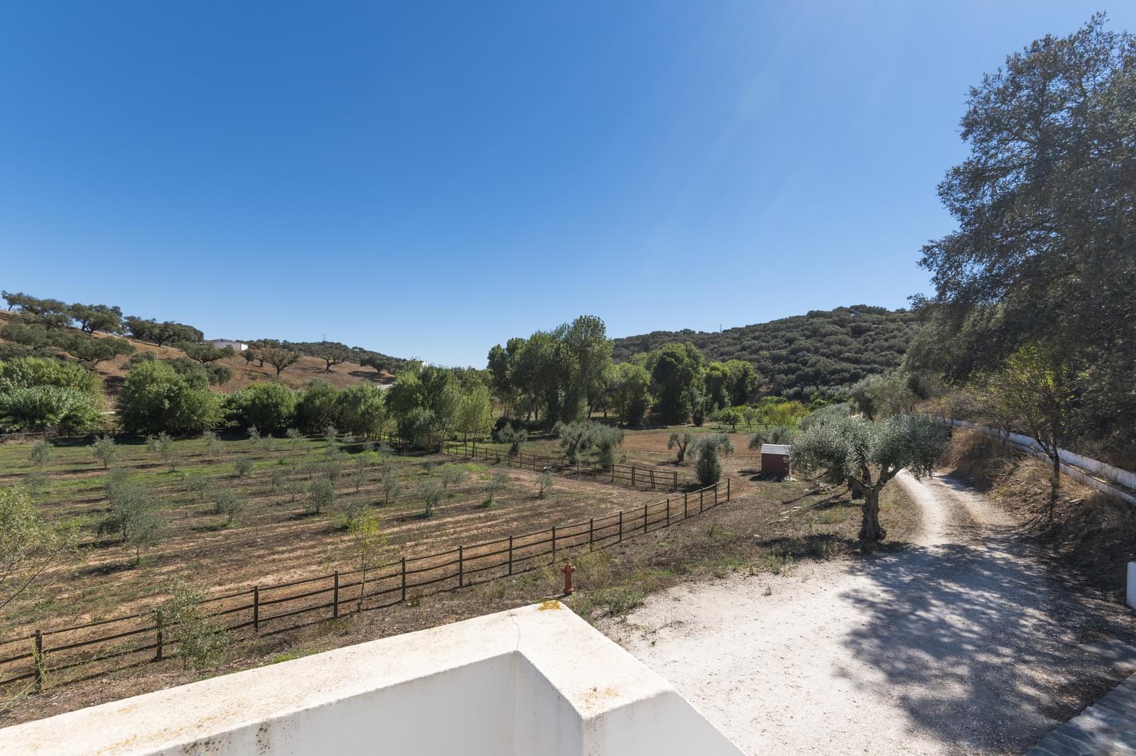 22 Bedroom Farm/Ranch/Plantation's Image 62
