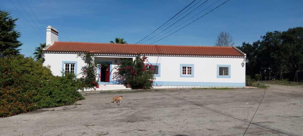 4 Bedroom Detached house with parking, Álcacer do Sal, Alcacer do Sal 513945663