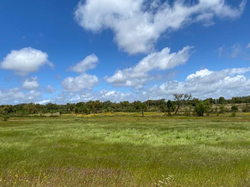 Rural land 18.1 ha, Cercal do Alentejo, Santiago do Cacem 3599952044