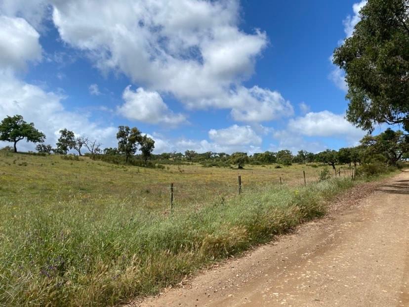 Rural land 18.1 ha, Cercal do Alentejo, Santiago do Cacem 3599952044