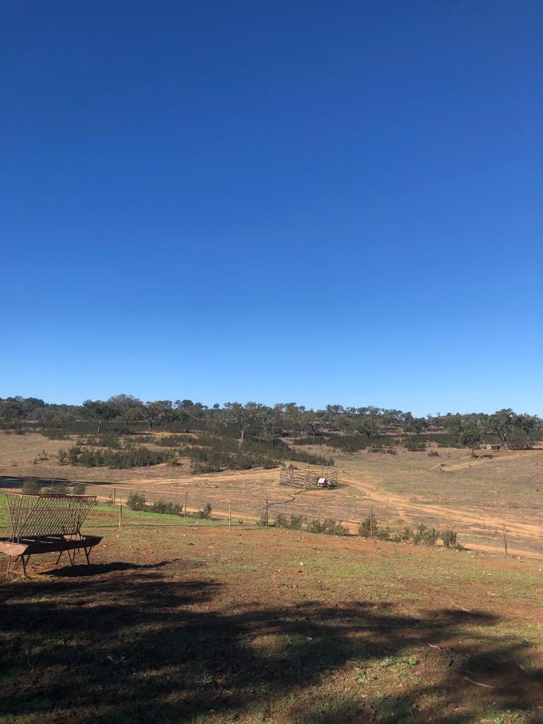 Terreno Rústico 30.2 ha, Cercal do Alentejo, Santiago do Cacem - Imagem 18