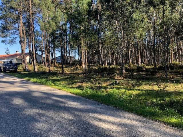 Rural land in urban perimeter 1.2 ha, Pombal 192059857