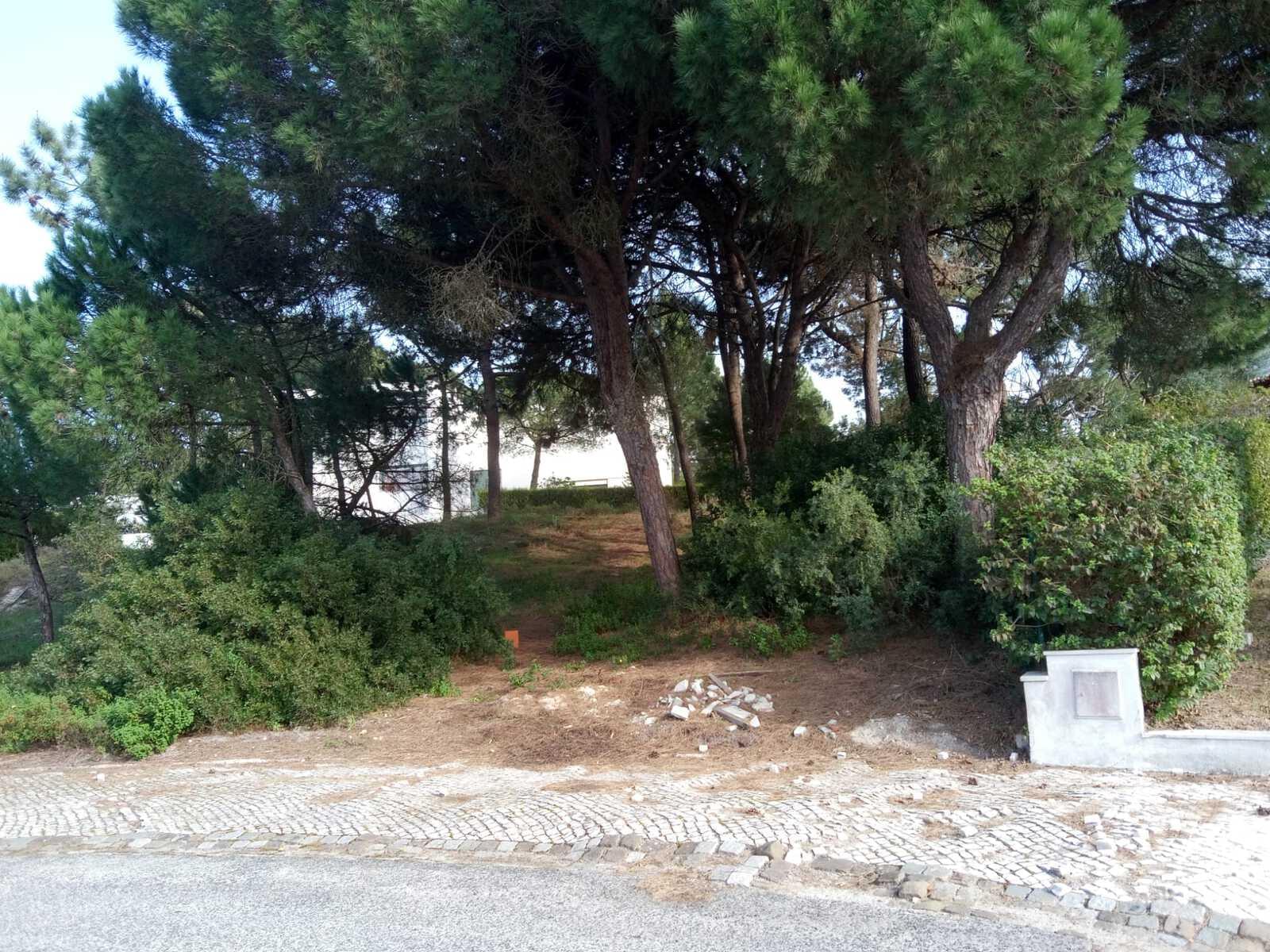 Terreno 1430 m2, Tróia, Grandola - Imagem 11