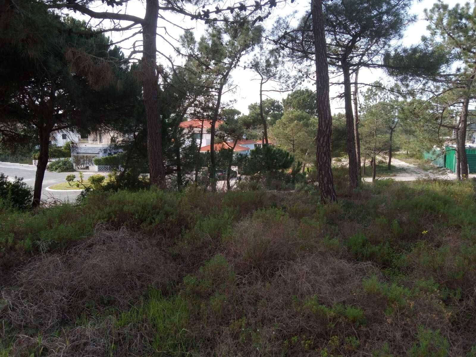 Terreno 1430 m2, Tróia, Grandola - Imagem 12