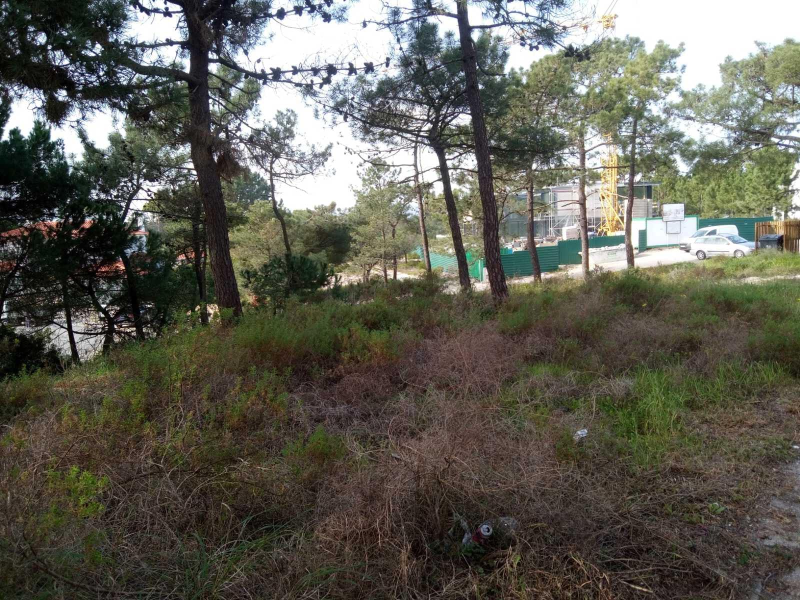 Terreno 1430 m2, Tróia, Grandola - Imagem 15