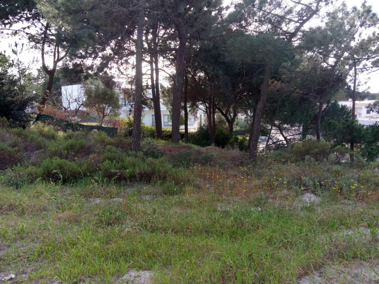 Terreno 1430 m2, Tróia, Grandola - Imagem 16