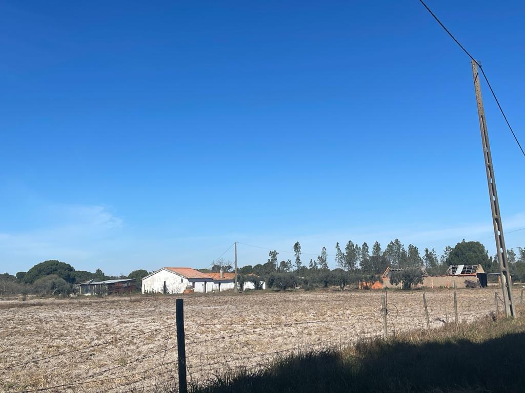 Quinta 4.0 ha, Grandola - Imagem 18