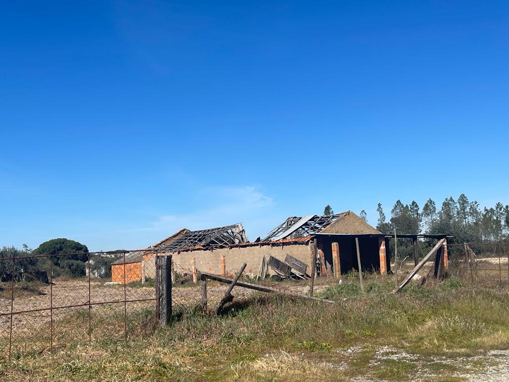 Quinta 4.0 ha, Grandola - Imagem 13