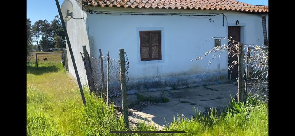 Quinta 4.0 ha, Grandola - Imagem 11