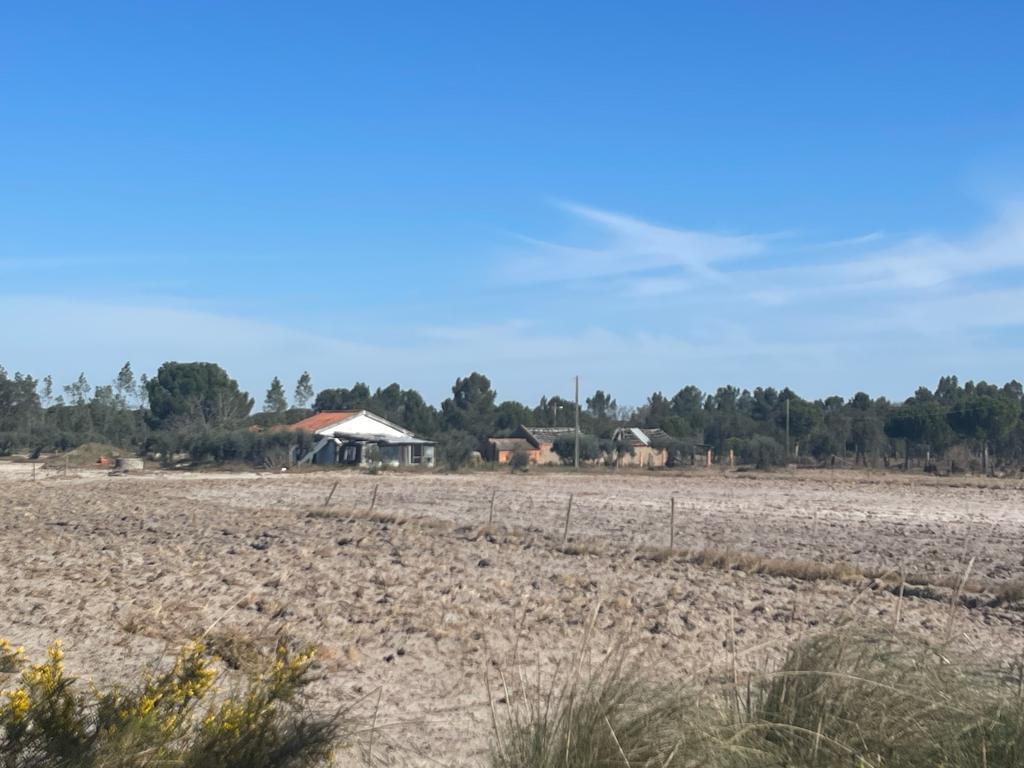 Quinta 4.0 ha, Grandola - Imagem 14