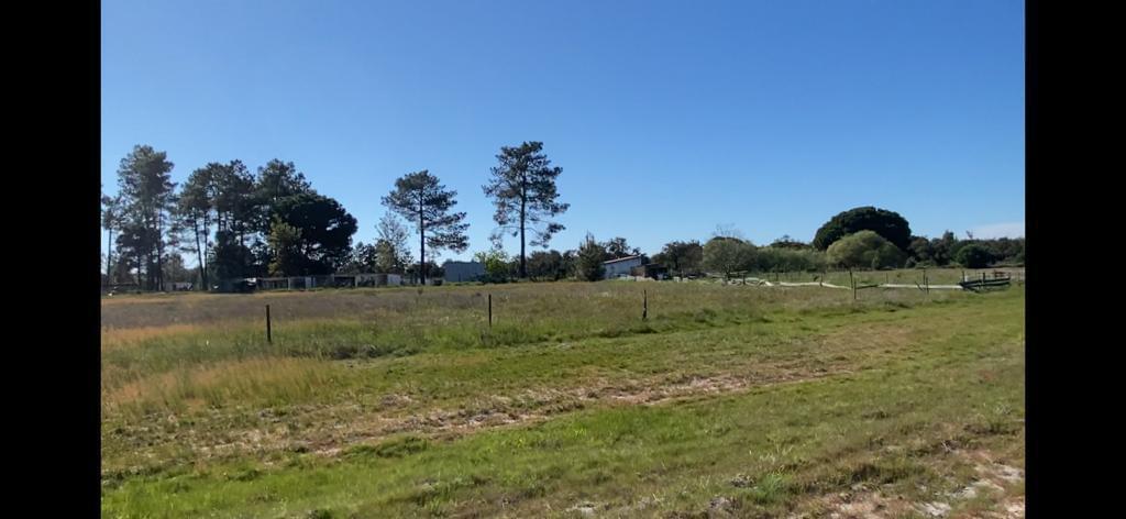 Quinta 4.0 ha, Grandola - Imagem 20