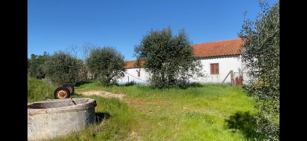 Quinta 4.0 ha, Grandola - Imagem 9