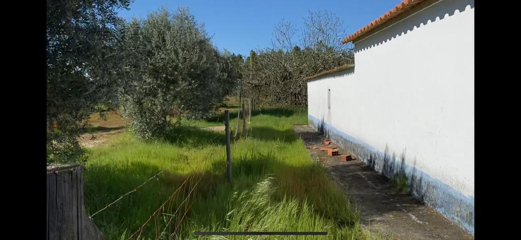Quinta 4.0 ha, Grandola - Imagem 10
