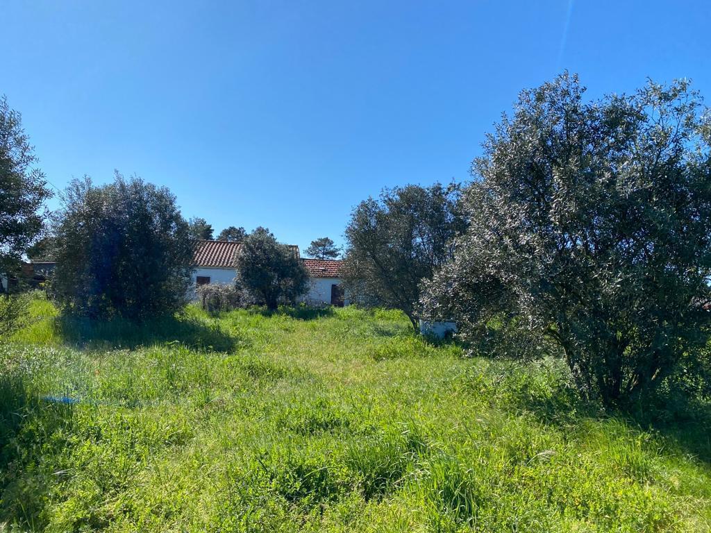 Quinta 4.0 ha, Grandola - Imagem 12
