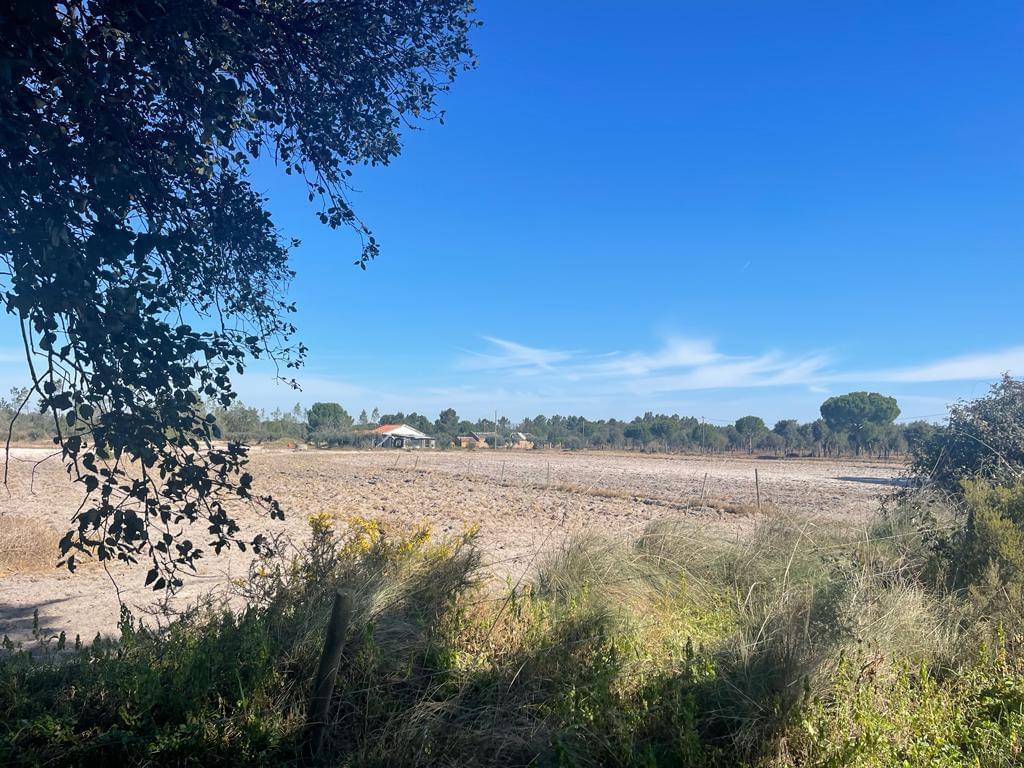 Quinta 4.0 ha, Grandola - Imagem 19