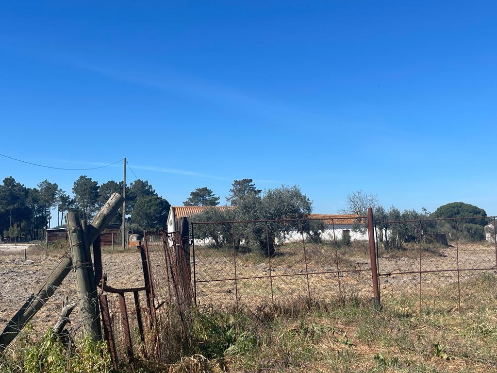 Quinta 4.0 ha, Grandola - Imagem 15