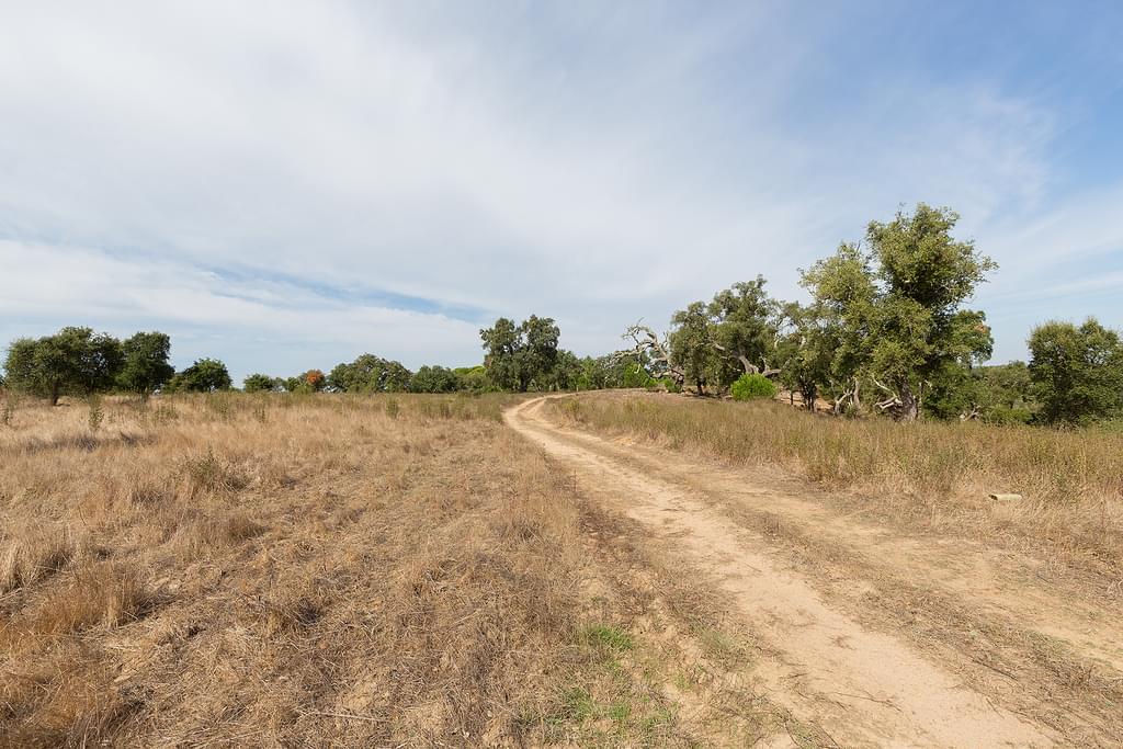 Mixed land 56.1 ha, Santiago do Cacem 4215308241