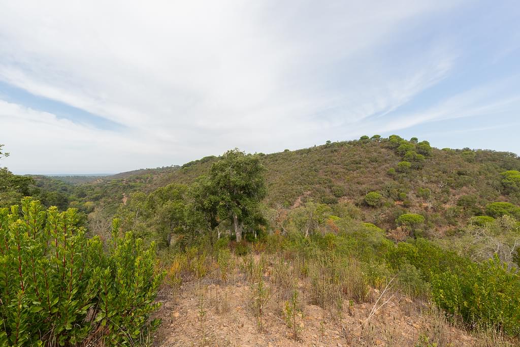 Land 53.0 ha, Santiago do Cacem 849669768