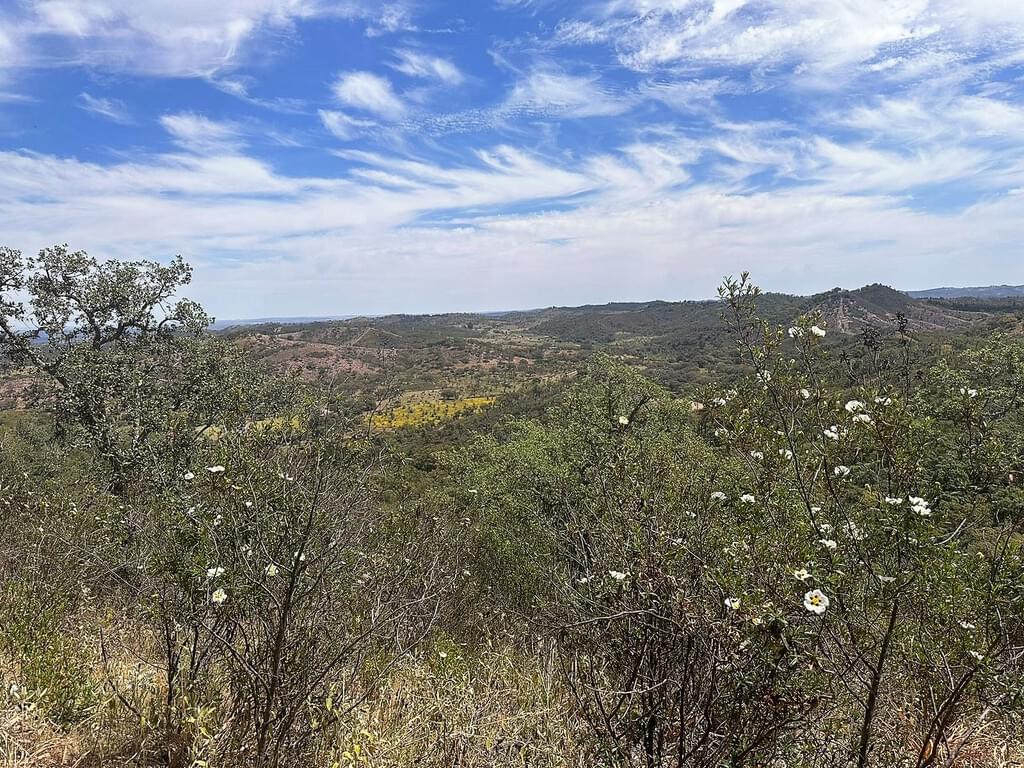 Mixed land 4.0 ha, Colos, Odemira 3854451010