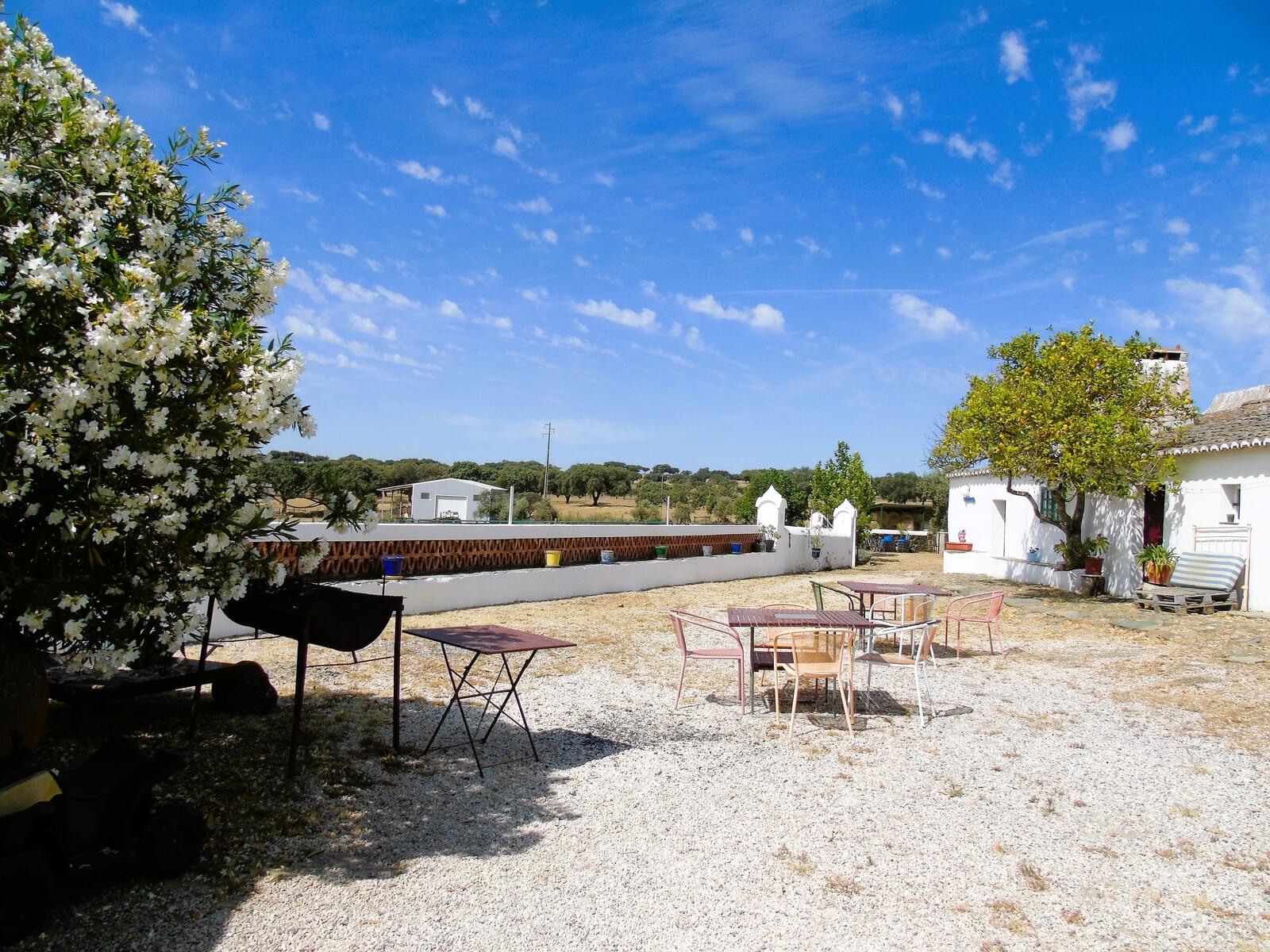 11 Bedroom Farm/Ranch/Plantation's Image 74
