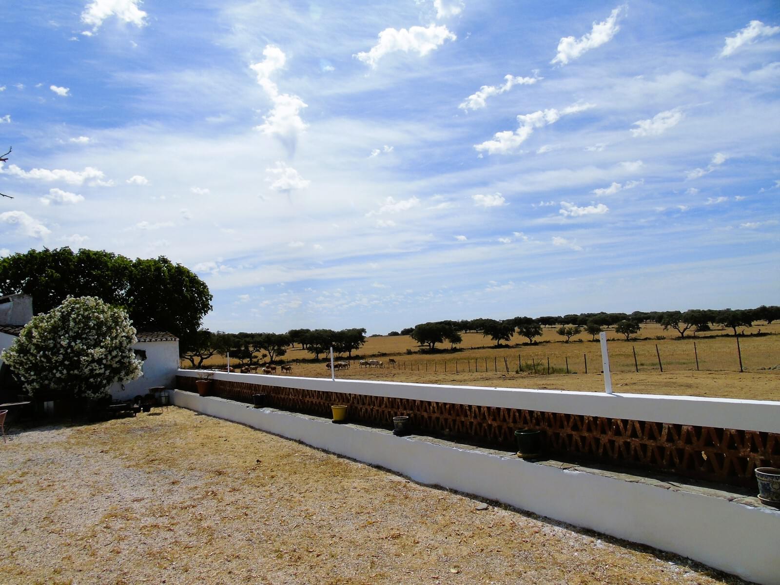 11 Bedroom Farm/Ranch/Plantation's Image 78