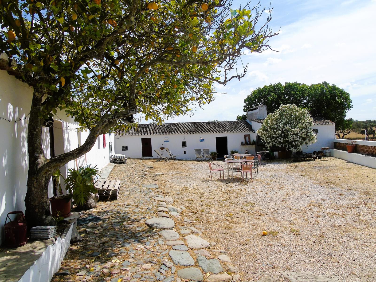 11 Bedroom Farm/Ranch/Plantation's Image 77