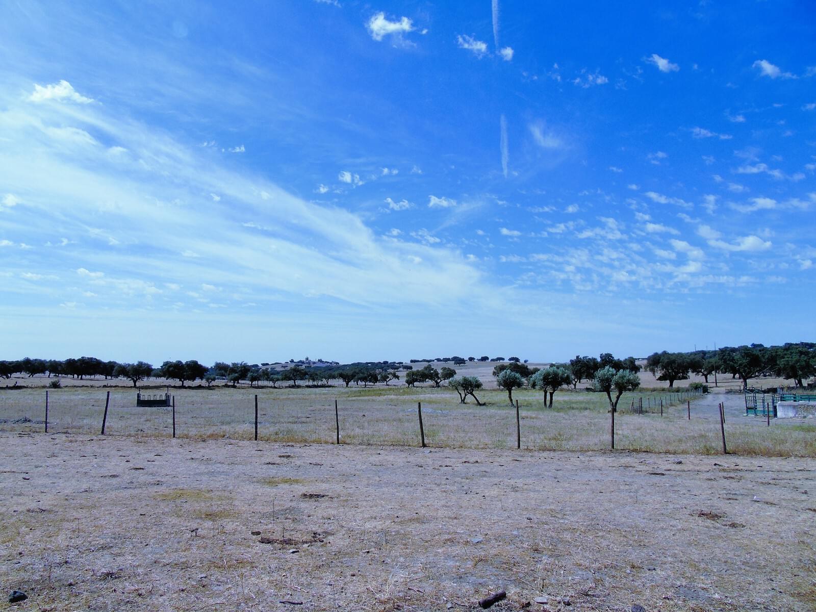 11 Bedroom Farm/Ranch/Plantation's Image 70