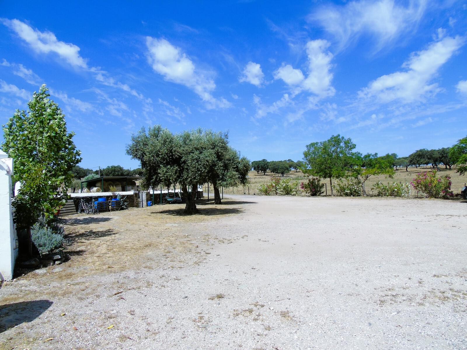 11 Bedroom Farm/Ranch/Plantation's Image 71