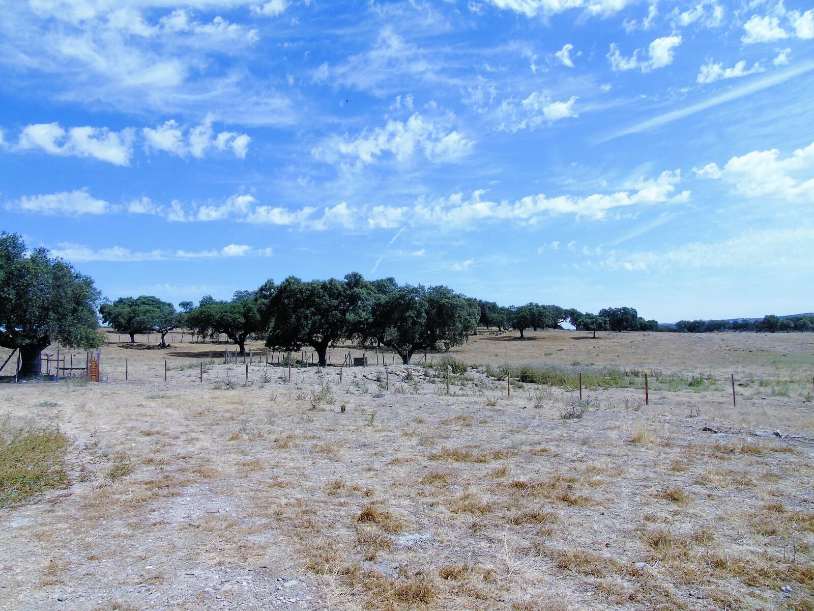 11 Bedroom Farm/Ranch/Plantation's Image 68