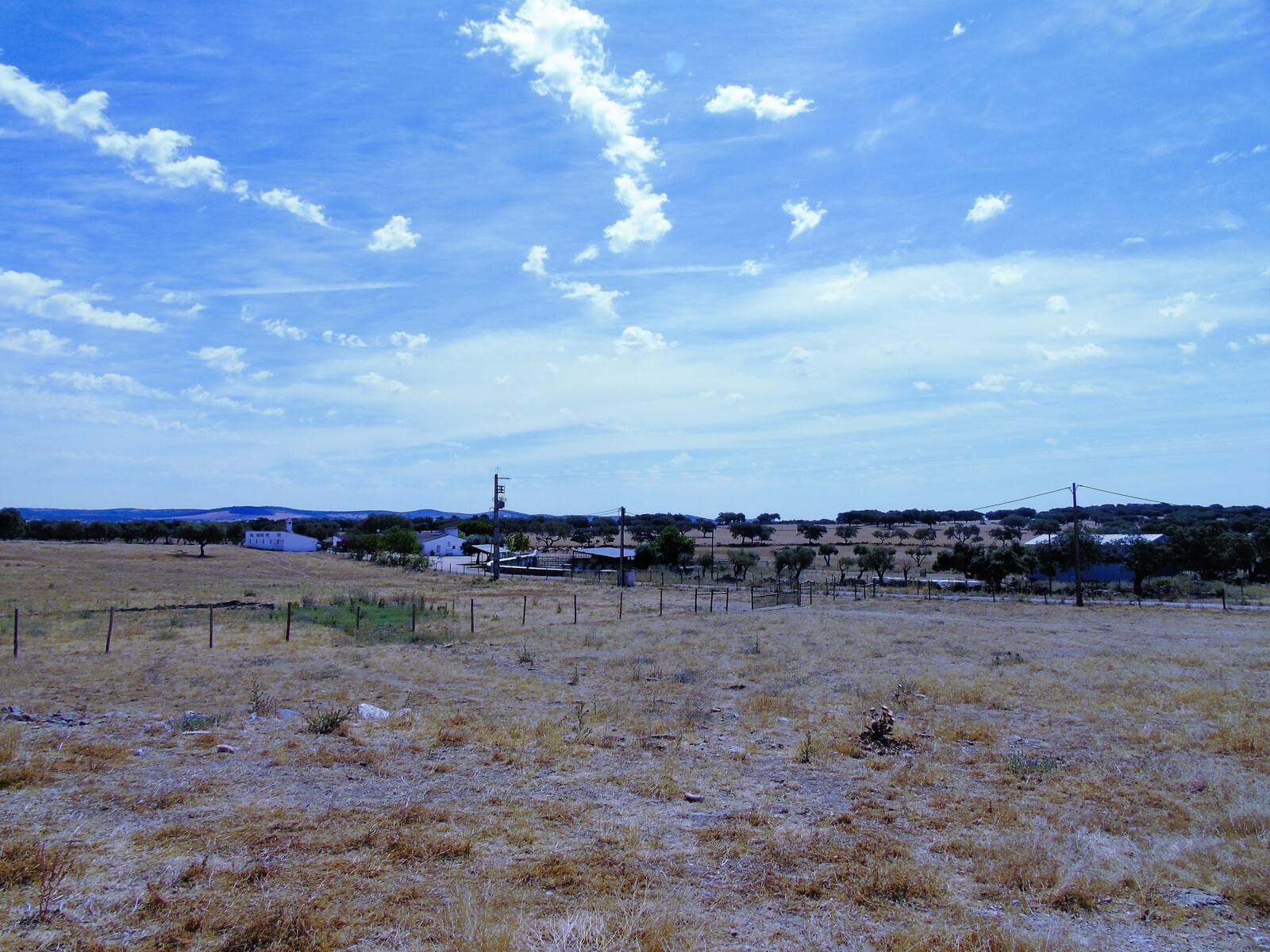 11 Bedroom Farm/Ranch/Plantation's Image 69