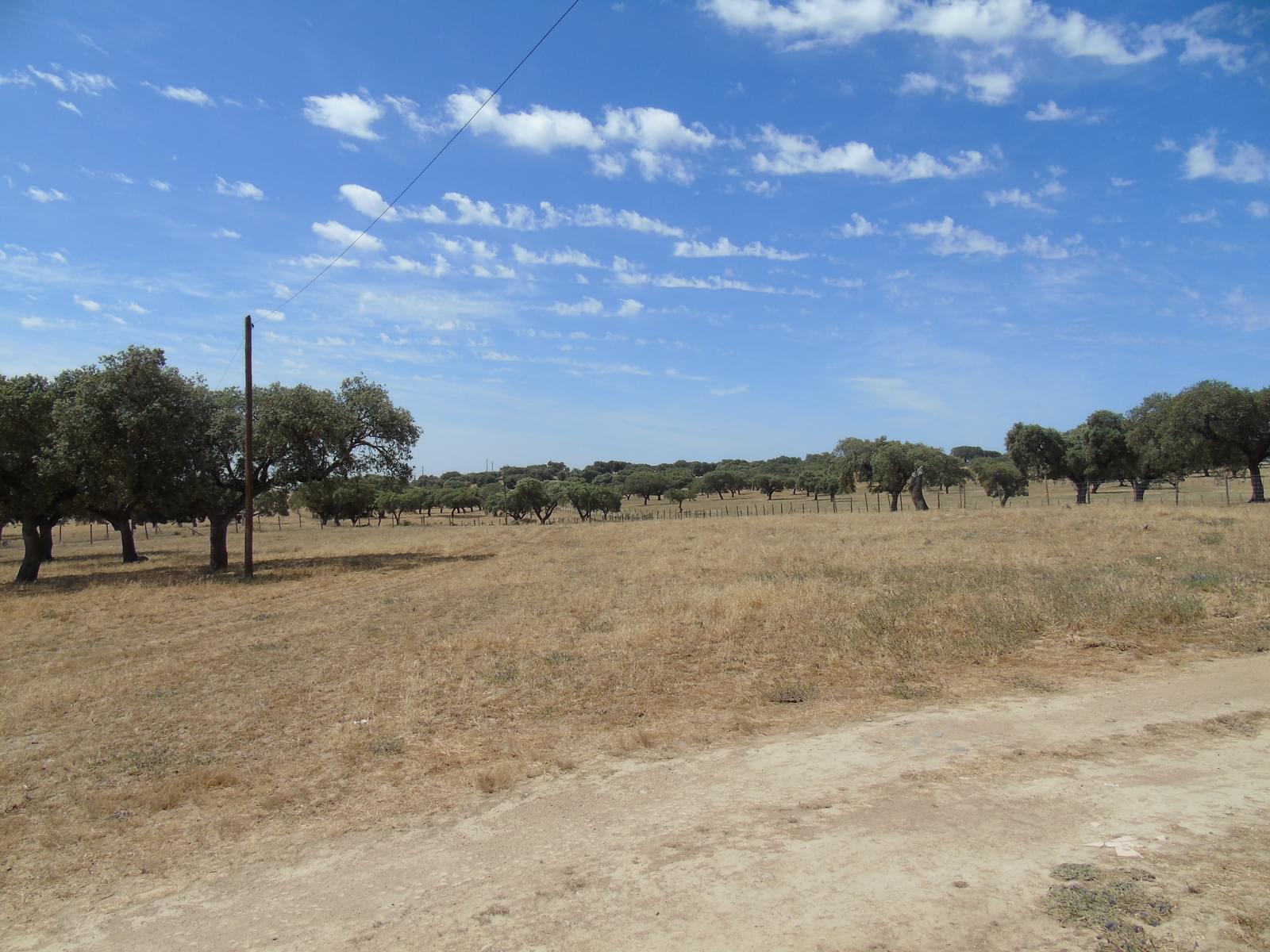 11 Bedroom Farm/Ranch/Plantation's Image 65