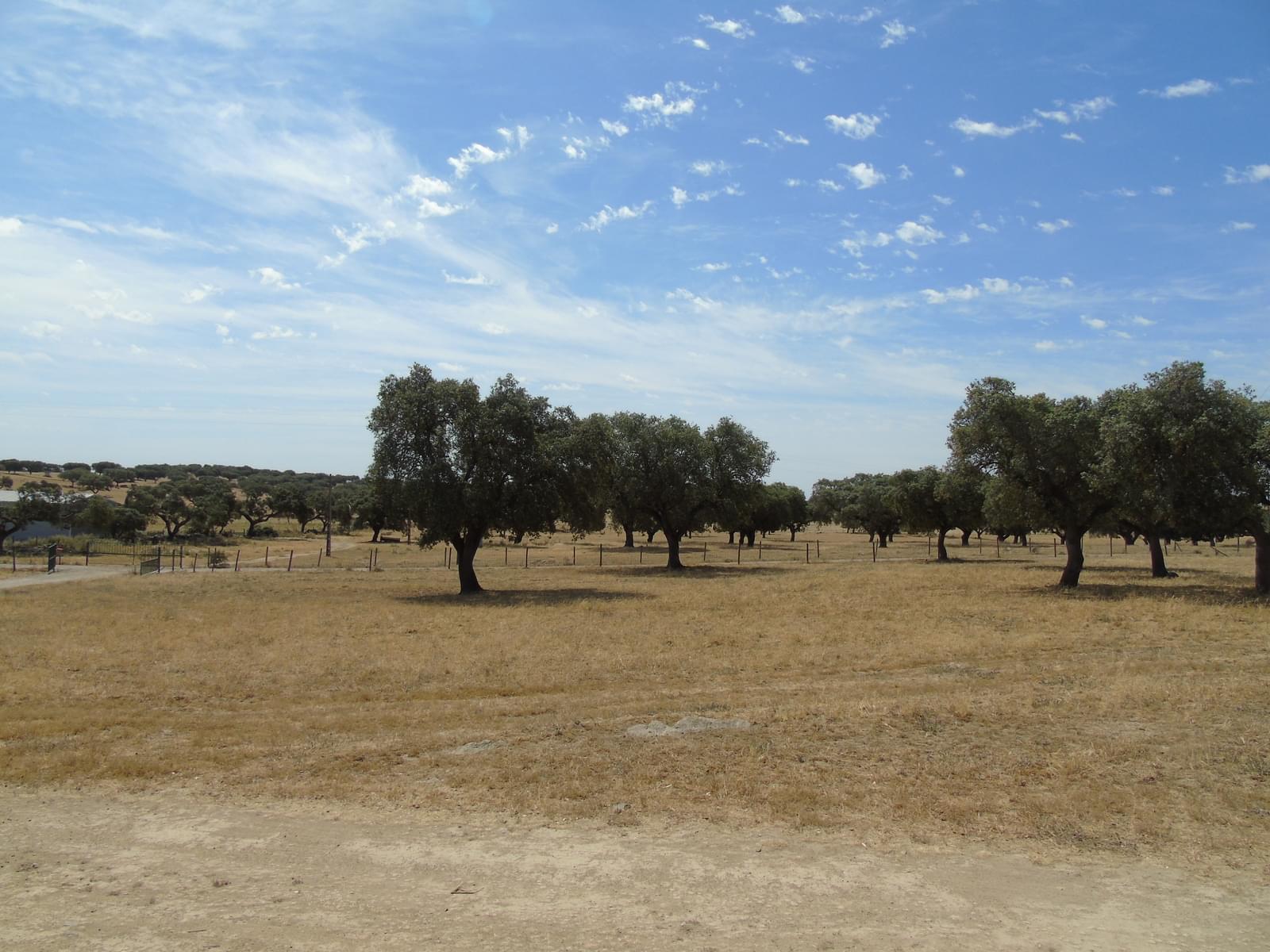 11 Bedroom Farm/Ranch/Plantation's Image 66
