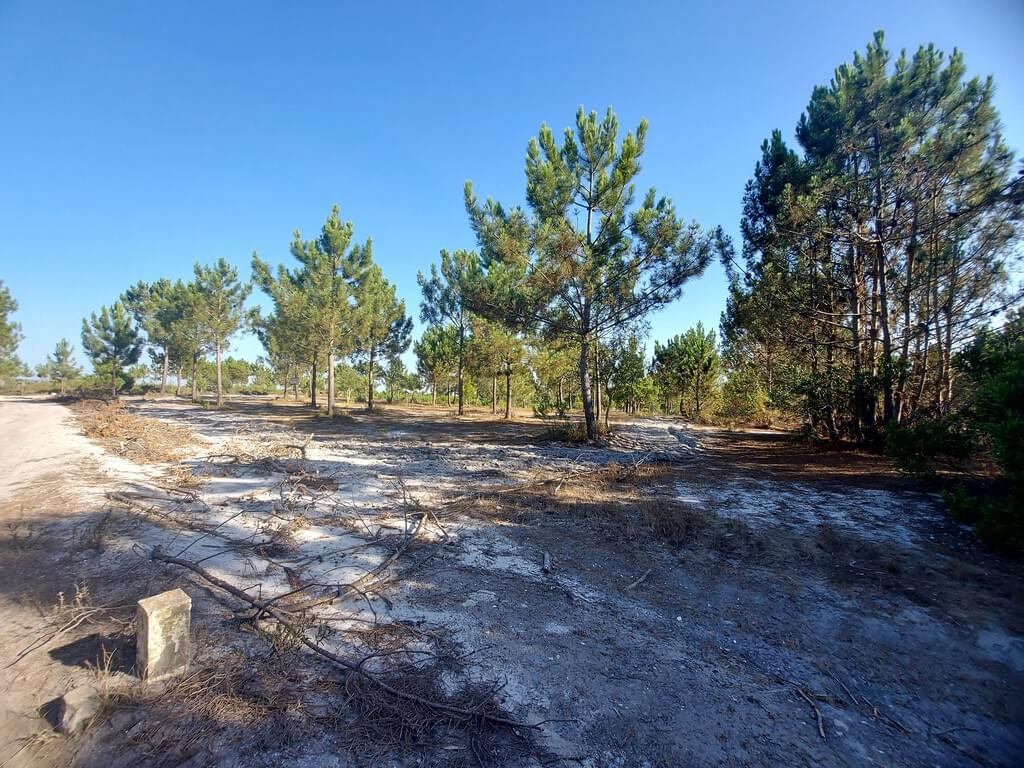 Rural land in urban perimeter 1.3 ha, Lagoa de Santo André, Santiago do Cacem 2662931697